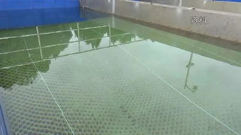 我区水污染防治成效明显 水污染治理迈上新台阶